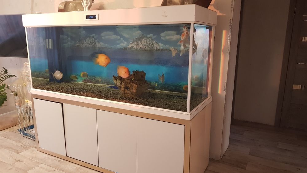 Продам мини аквариум