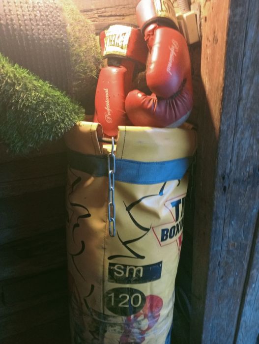 Продам грушу баксерскую.