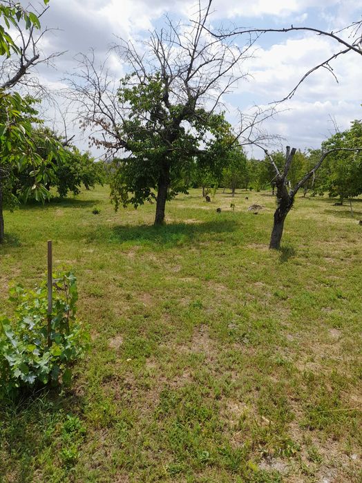 Продава се Парцел в София, Лозенец - 2527 кв.м за 16 €/кв.м - Снимка #11