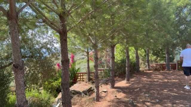 Продава се Къща в София, Център - 480 кв.м за 1042 €/кв.м - Снимка #2