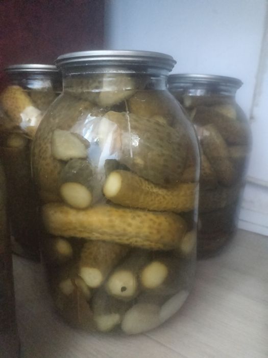 домашний соленье