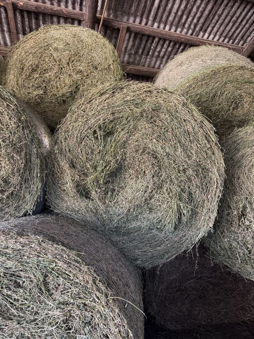 Baloti lucerna uscata 1,2 x 1,8 m 450 kg