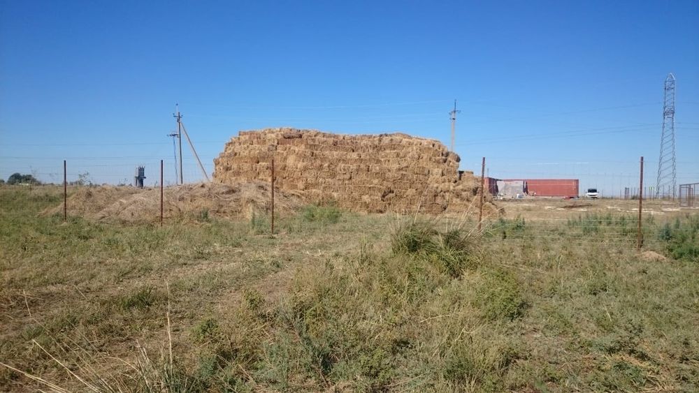 Крестьянское хозяйство