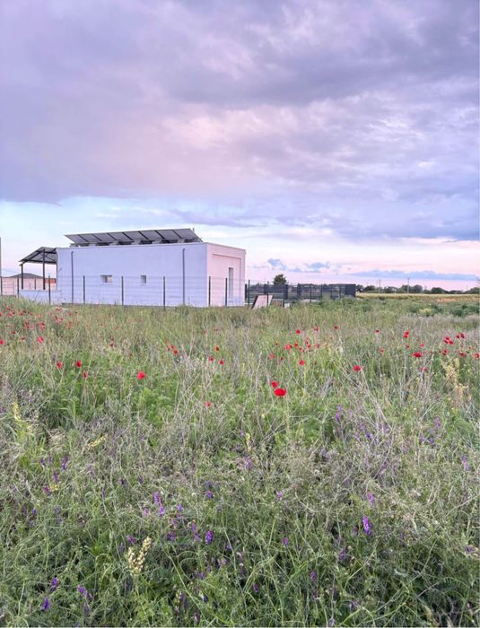 Teren Tartasesti , 462mp - aproape de Buc