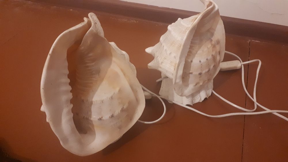 Светильники в форме ракушек