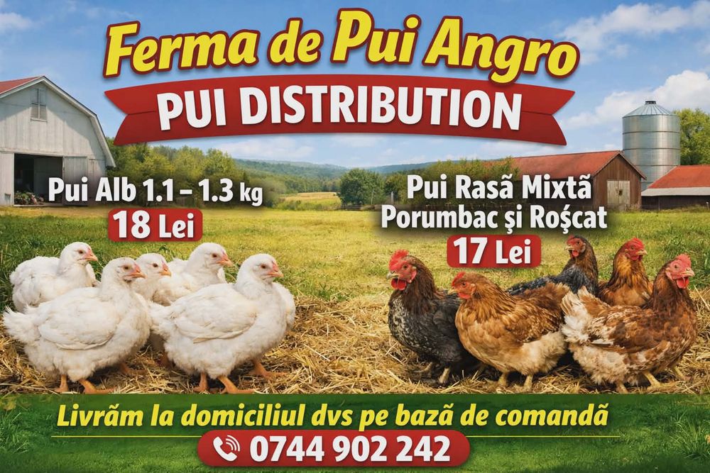 Vand pui albi si rasa mixta