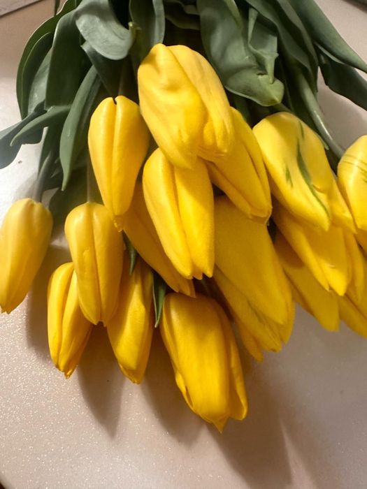 Тюльпаны 700 тенге