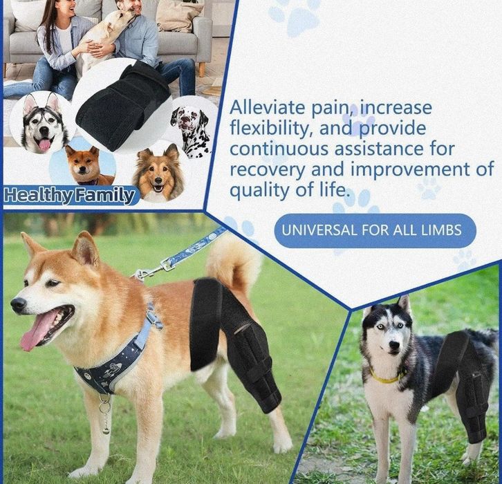 Собачий бандаж для задней ноги, от травм