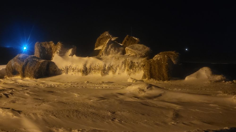 Продам сено в рулонах