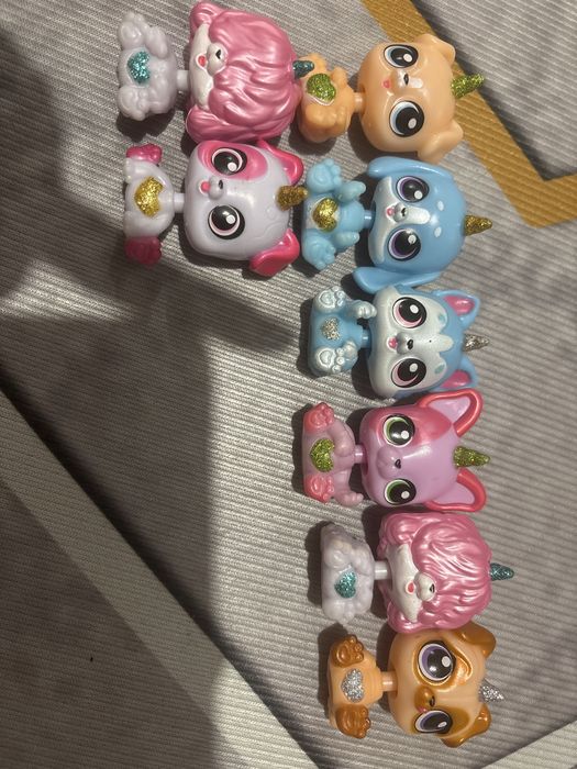 Коллекция петов  город Алматы самовывоз