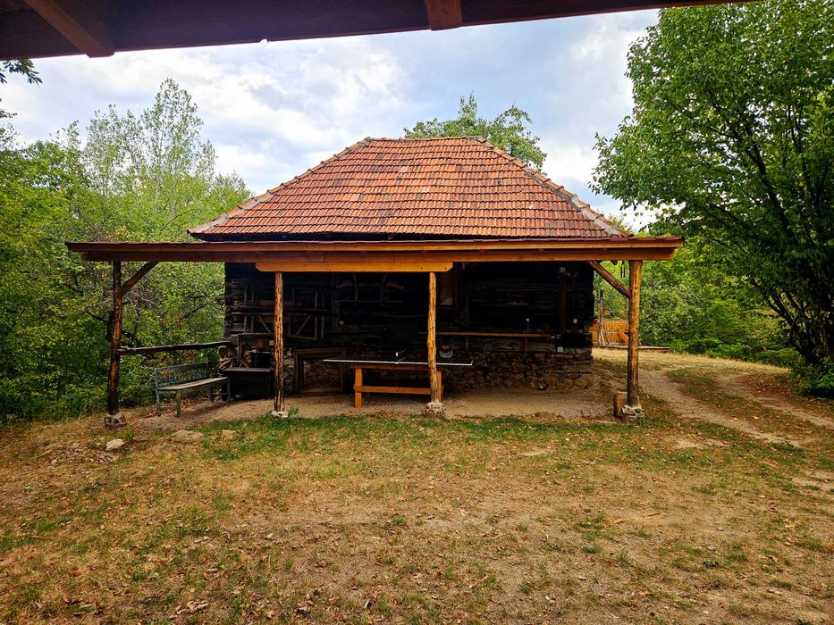 Poiană privată, pădure și cabană | Proprietate cu potențial turistic