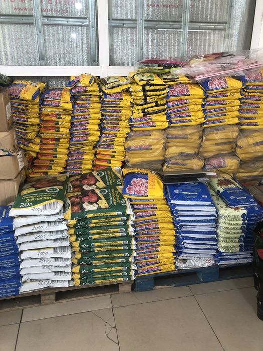 Цветы кашпо грунт оптом