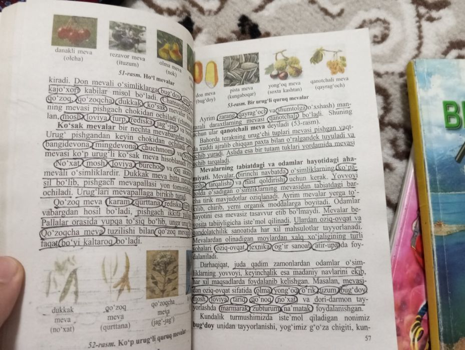 Kitob kerak boʻlsa bemalol yozishingiz mumkin