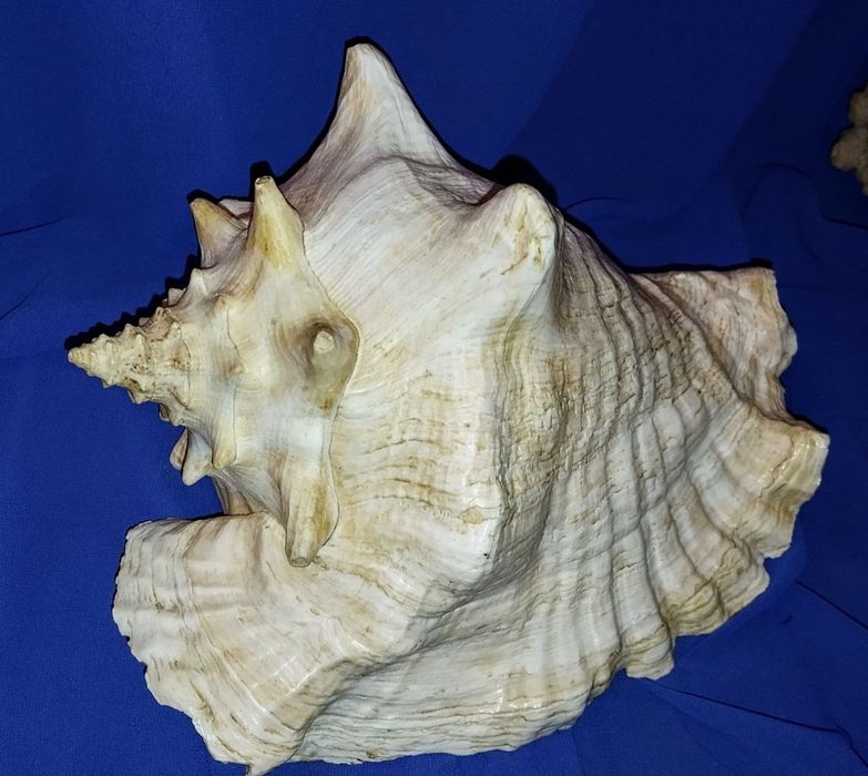 Предметы для дома