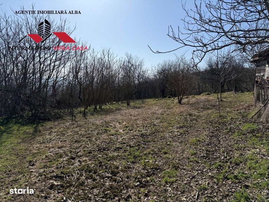 Casa si anexe cu un teren de 7701 mp de vanzare in Stauini  Jud Alba