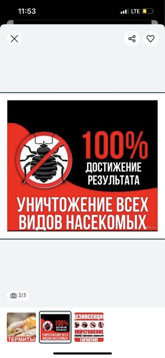 Дезинфекция тараканы,клопы,термиты