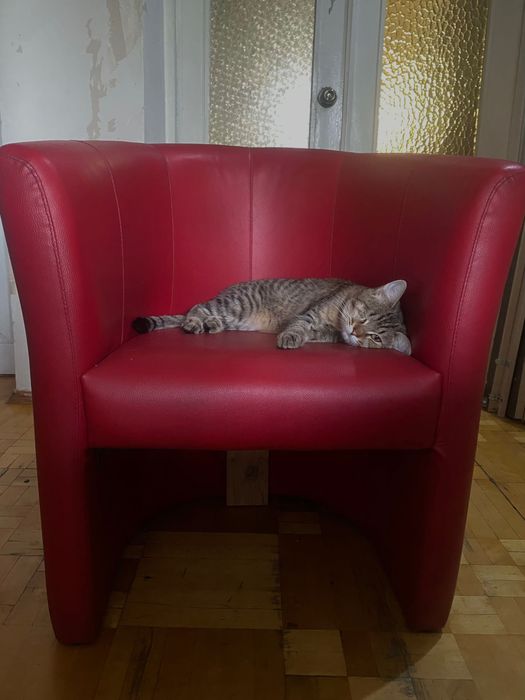 Красное кресло из кожи