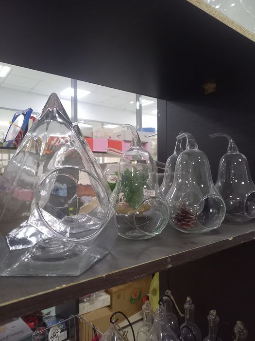 Для дома  и сада флорариум