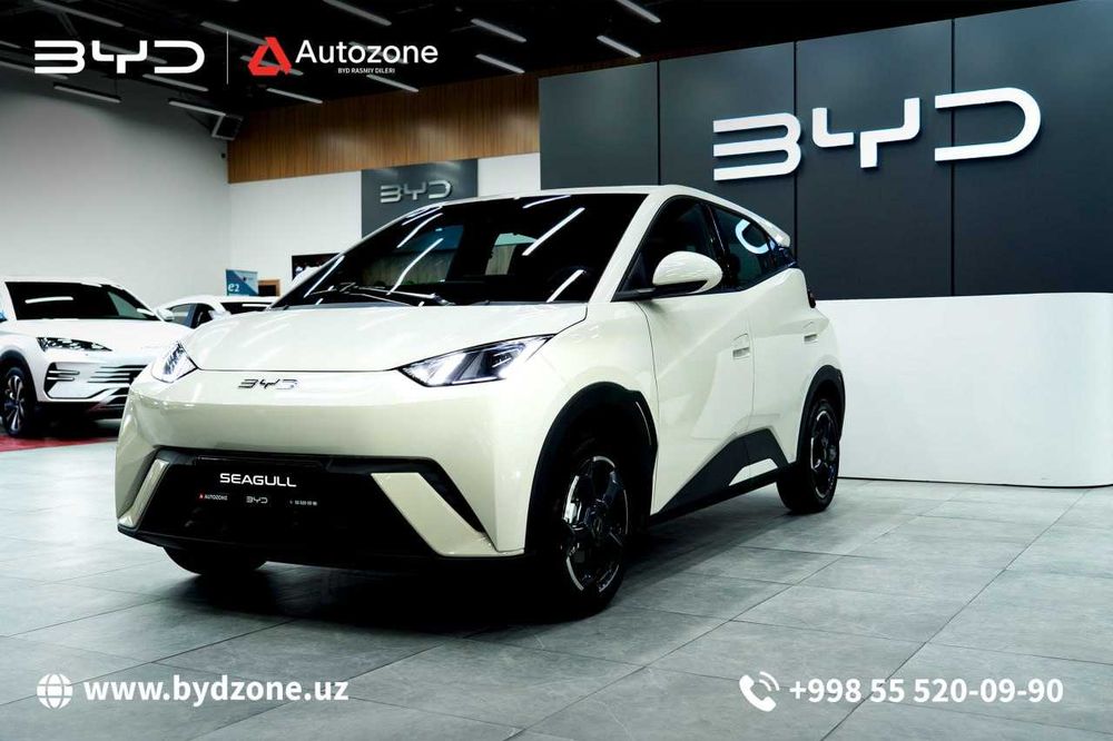 BYD Seagull 405km Flying