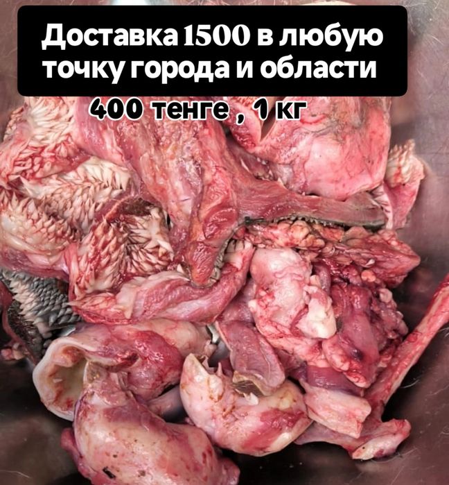 Мясо для Собак, Обрезки, корм,