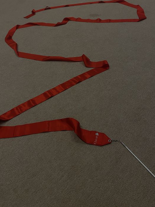 Художественная гимнастика