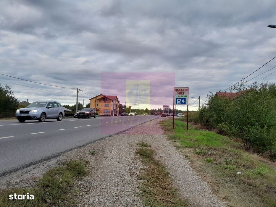 Cosereni (Il) - Se Vinde Teren 2000 Mp La Sos Bucuresti -Urziceni