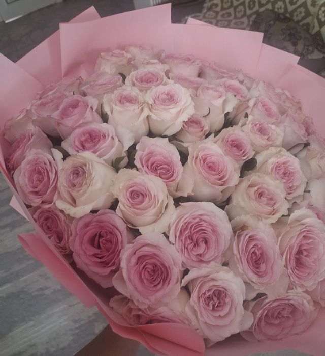 51 штук розовоя роза