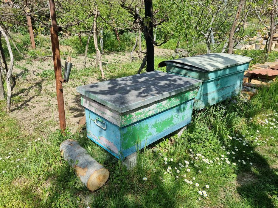 Vand cutii stupi albine