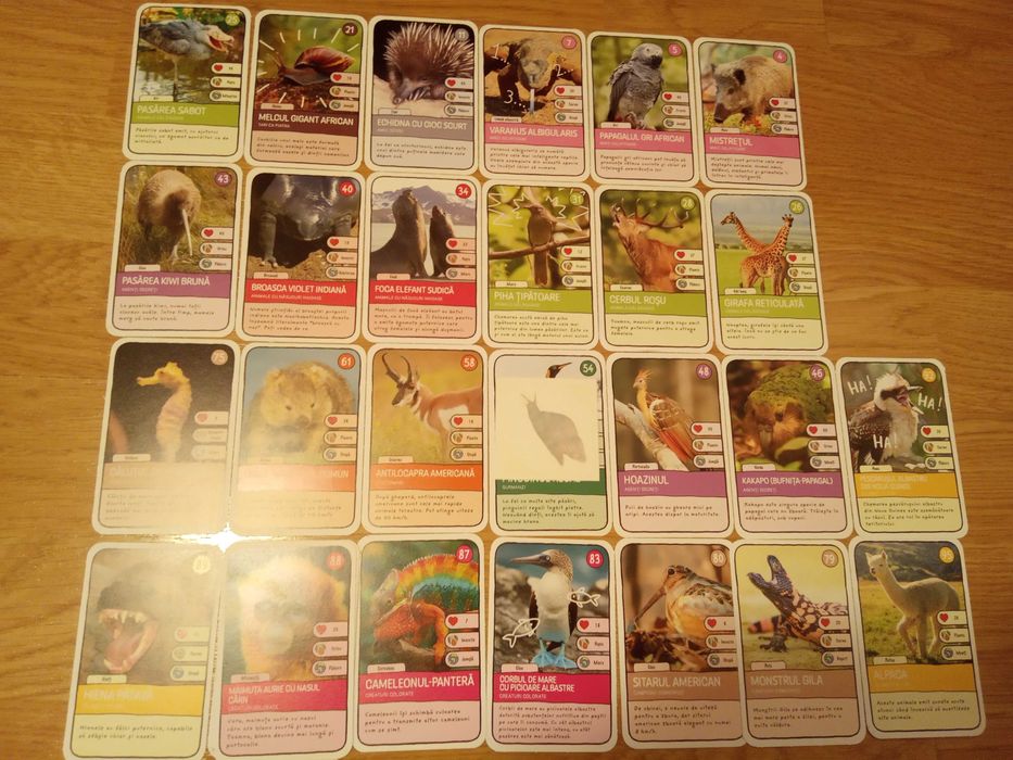 1136 Cartonase Expeditie in jurul lumii 1 si 2 mega image + 43 tatuaje