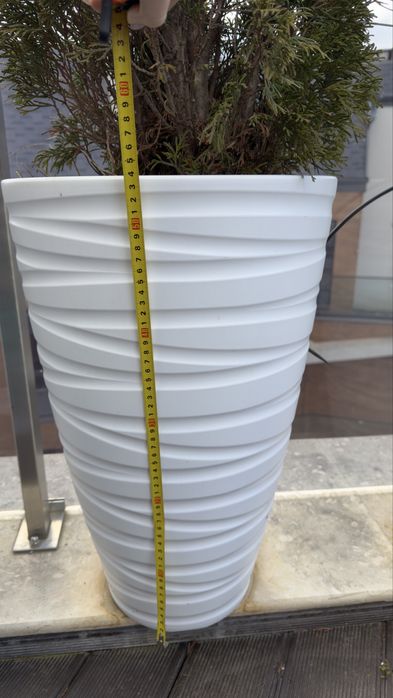 Туя 90см със саксия