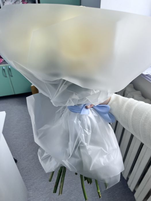 Сары Раушан гүлдері