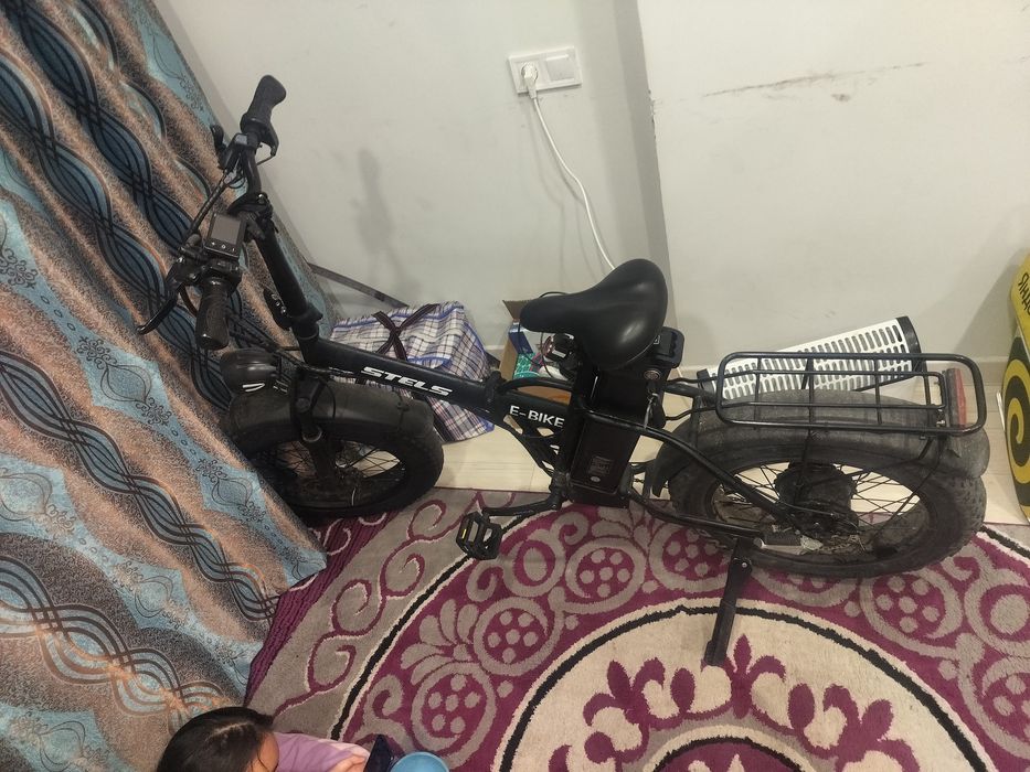 Электровелик леопард