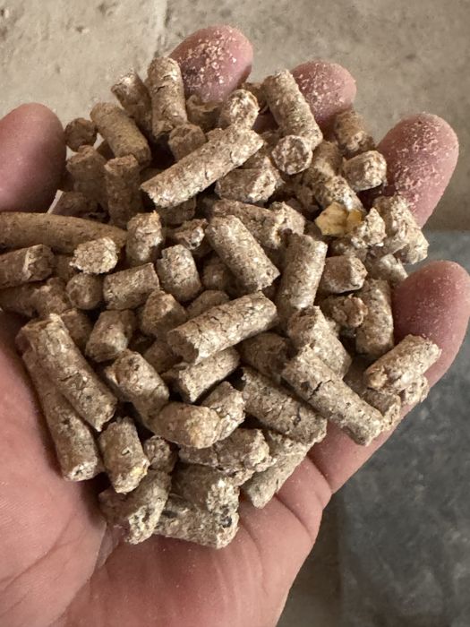 Aksiya. Korm buqa qoy va sigir uchun yem. Ishlab chiqaruvchidan