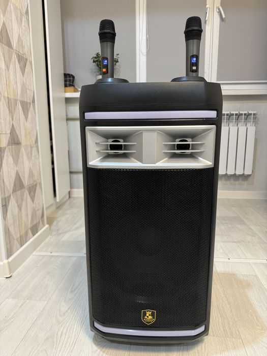 Аренда караоке колонки