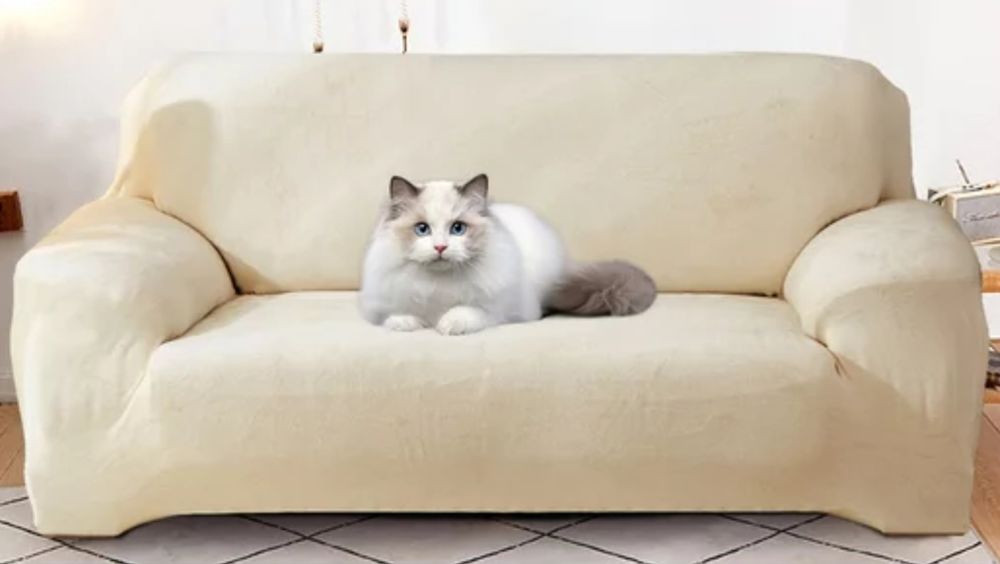 Химчистка мягкой мебели