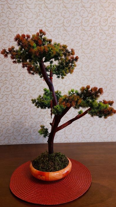 Бонсай авторская работа