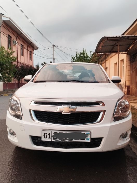 Arenda cobalt kraska toza