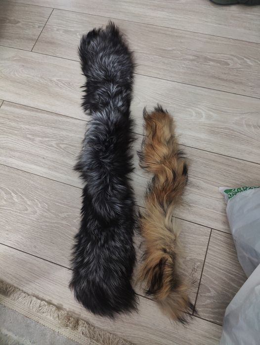 Мех от куртки бесплатно