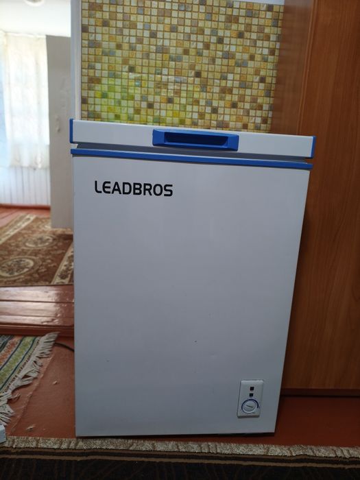 Морозильная камера "LEADBROS",100 л.
