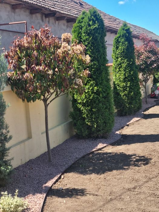 Amenajari spații verzi