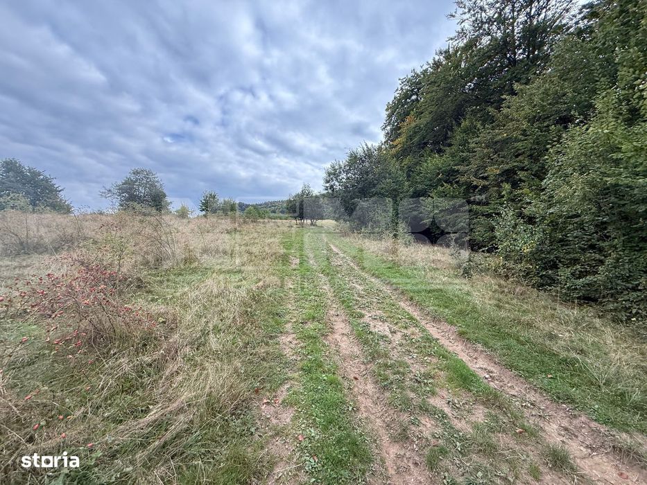 Teren de vânzare în Putna | 6.400 mp | 56 m front stradal