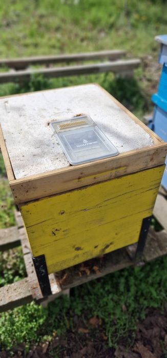 Пчелни кошери  10 р