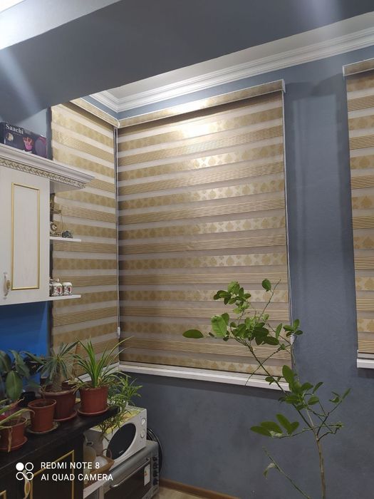 Jaluzi pardalari жалузи пардалари