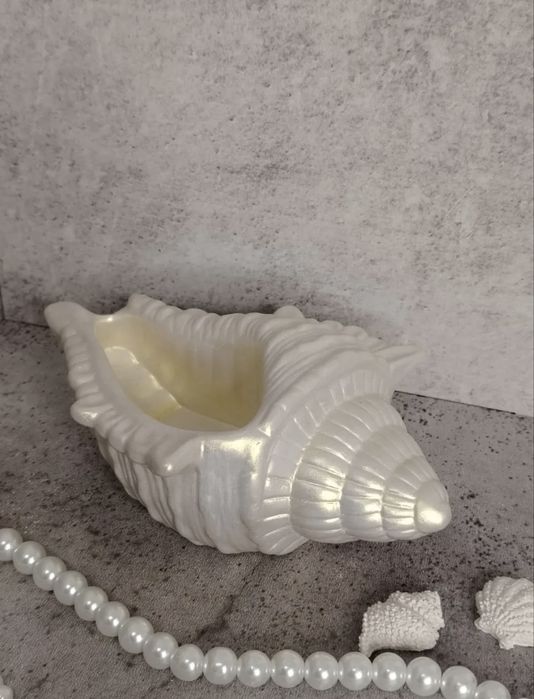 Декор для интерьера. Ракушка из гипса