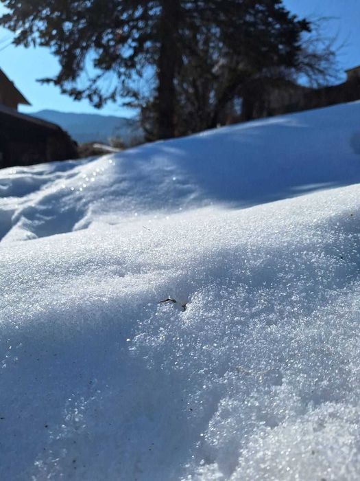 Парцел за продажба в Зорница, обл. Смолян