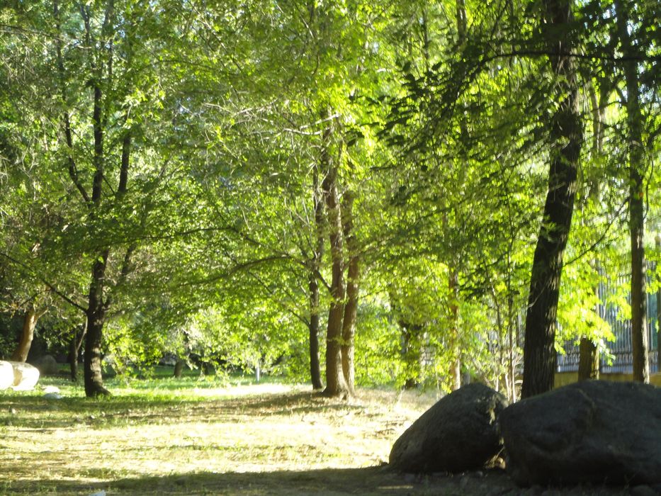 Sony Cyber-shot DSC W350