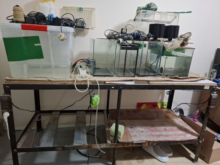 Аквариумлар Сотилади