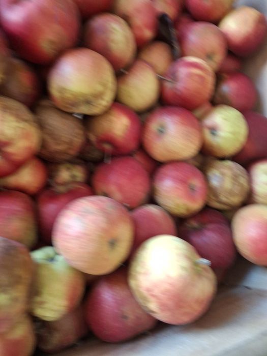 Mere de vanzare pentru gem,suc și rachiu calitate buna,preț avantajos