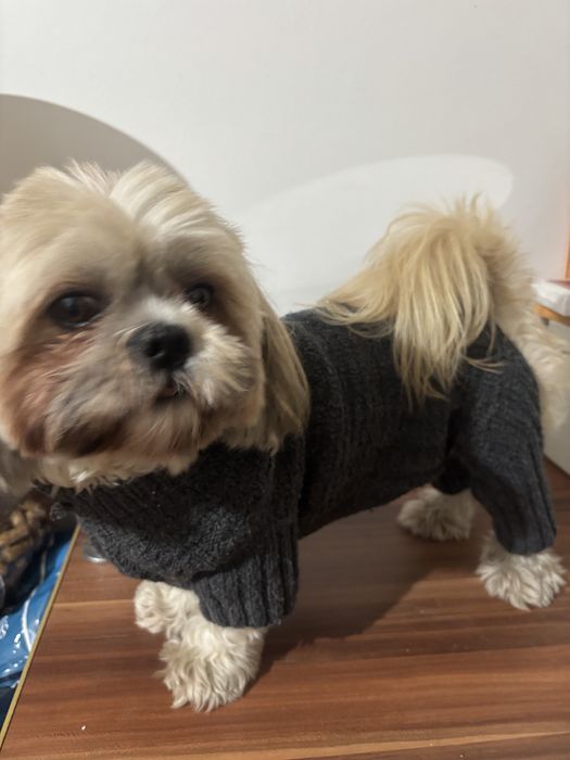 Haina pentru căței croșetate