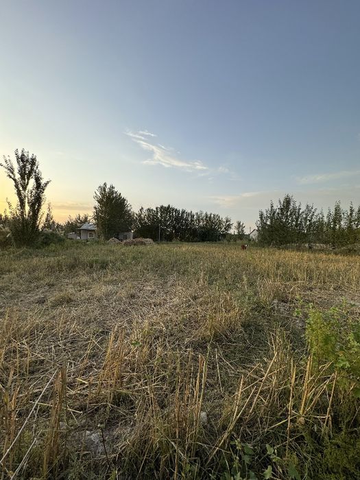 Сирдарьё Сардоба Участок 25 соток